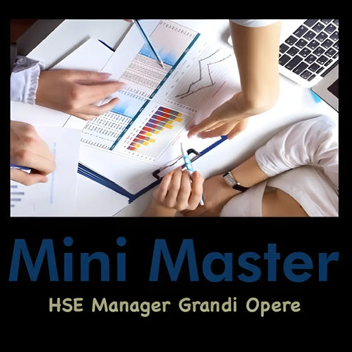Master Executive Hse Manager Grandi Opere